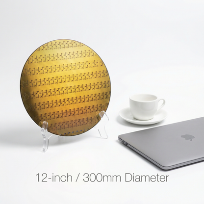 Genuine 12/14-inch Silicon Wafer — Engineering Sample (Display Only)